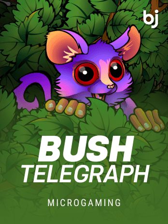 Bush Telegraph screenshot